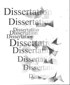 Decentralization dissertation planning
