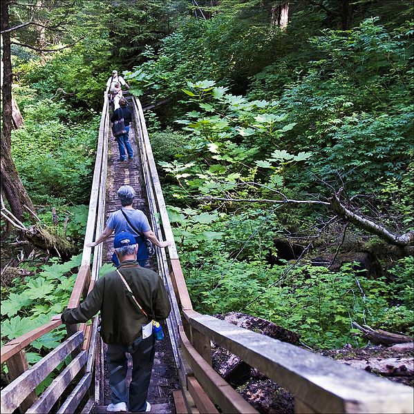 A forest path in the Tongass National Forest, Image by Seth Anderson via Flickr