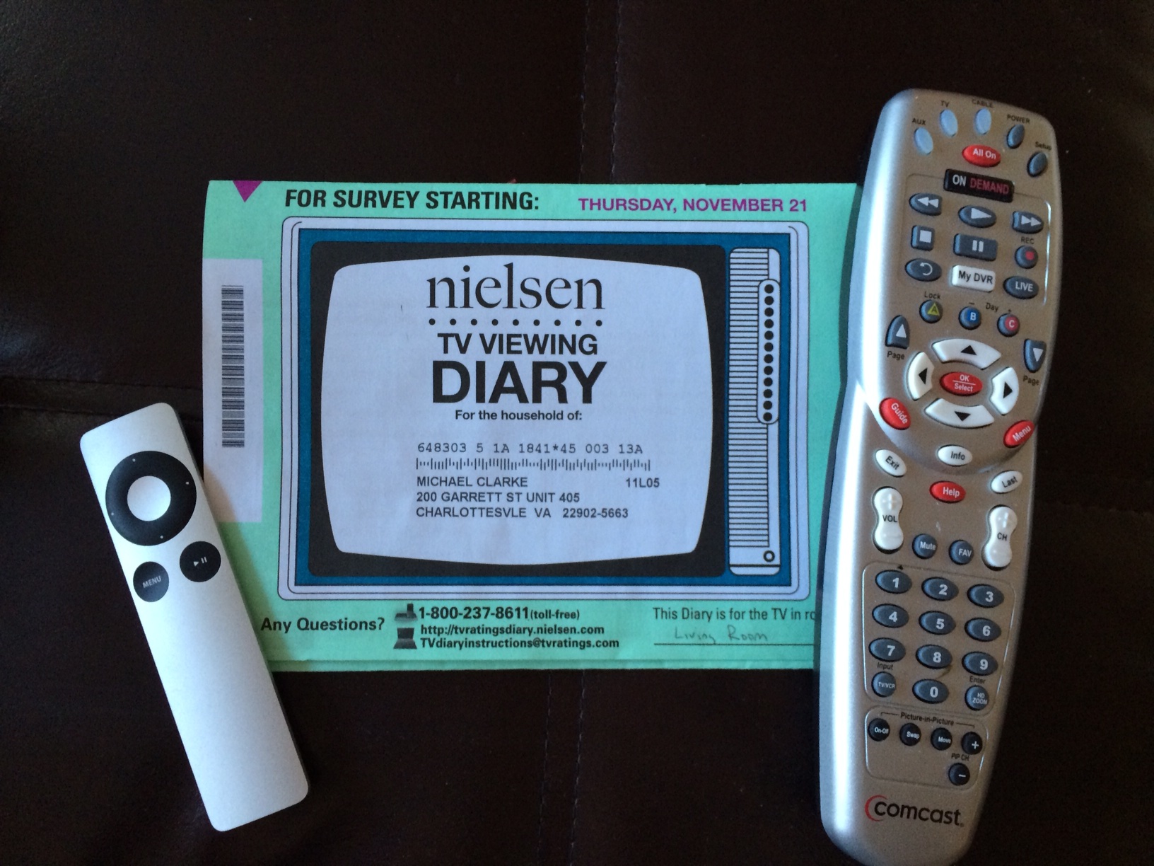 Nielsen Television Diary