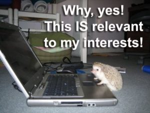 Hedgehog viewing the internet.