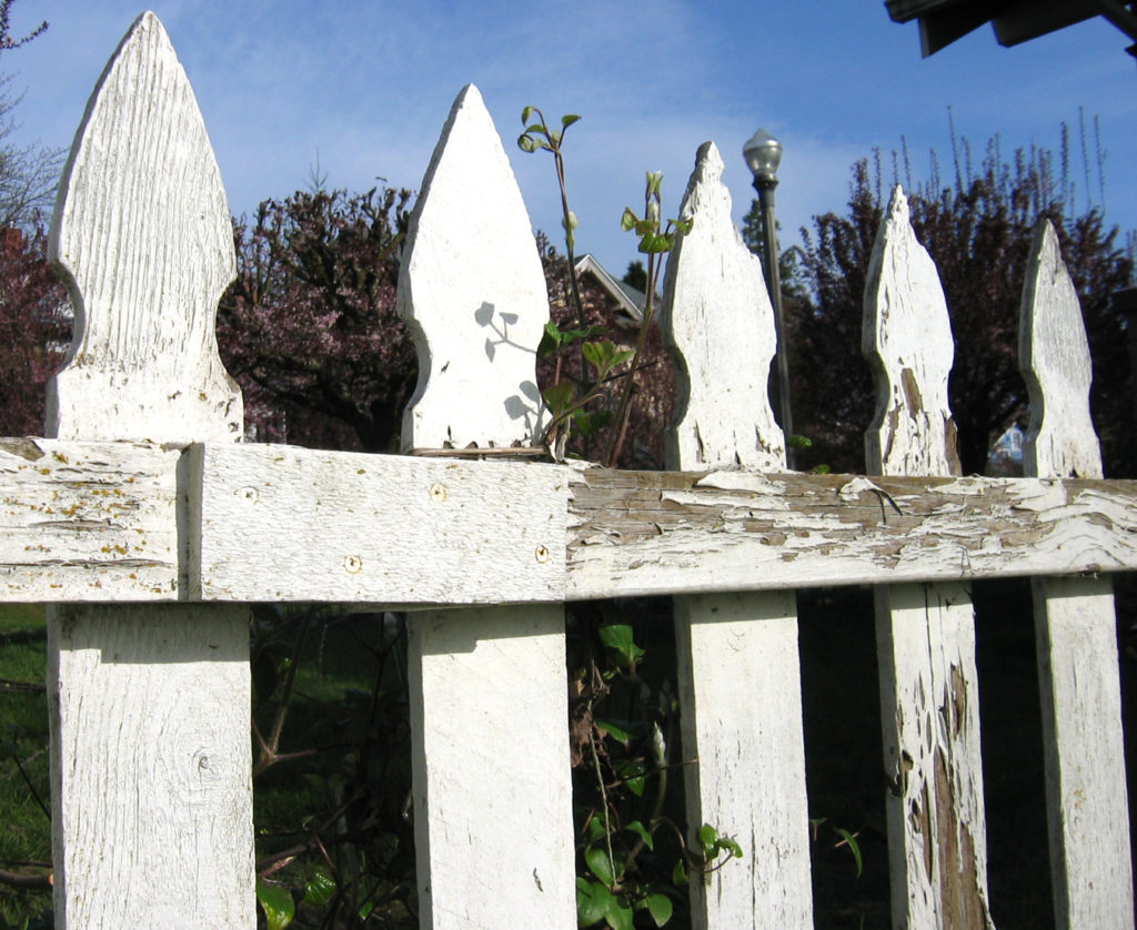 Picket Fence
