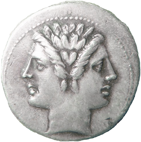 Janus Coin