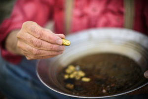 panning for gold