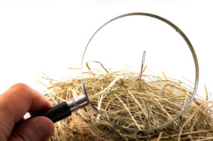 looking for a needle in a haystack