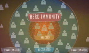 graphic depicting the concept of herd immunity