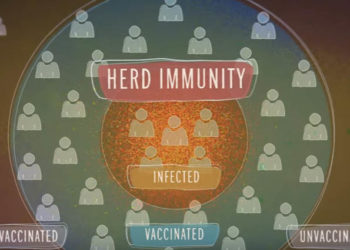 graphic depicting the concept of herd immunity