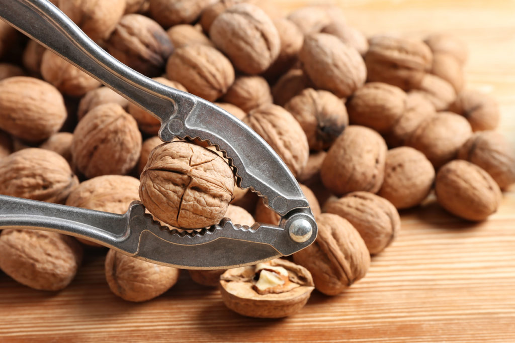 walnut cracking