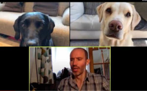 framegrab of zoom conference with dogs
