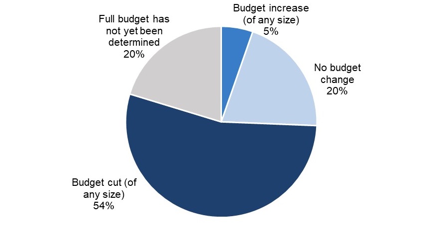 survey pie chart showing actual budget comparison