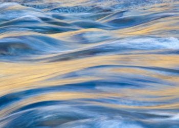 Golden afternoon light reflected on the surface of a stream