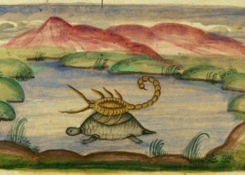 An illustration of a tortoise swimming while carrying a scorpion on its back