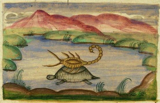 An illustration of a tortoise swimming while carrying a scorpion on its back