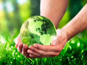 Hands Holding Crystal Earth In Lush Green Environment With Sunlight