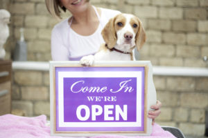 dog, holding open sign