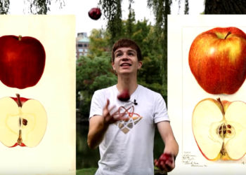 images of apples with a man juggling apples