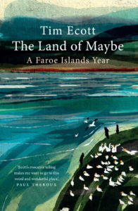 the land of maybe book cover
