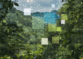 abstract nature scene, photo of forest with digital squares overlaid upon it