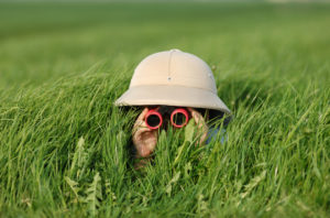 little boy in high grass searching for something through binoculars