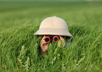 little boy in high grass searching for something through binoculars