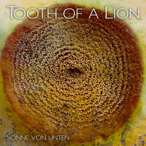 tooth of a lion album cover