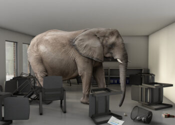 A large elephant in an office meeting room