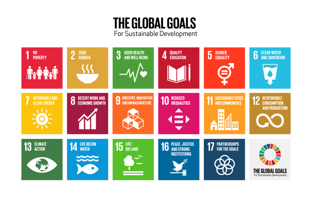grid of visual icons for each of the sustainable development goals