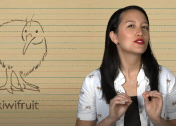 speaker in video with drawing of a kiwi bird labeled "kiwi fruit"