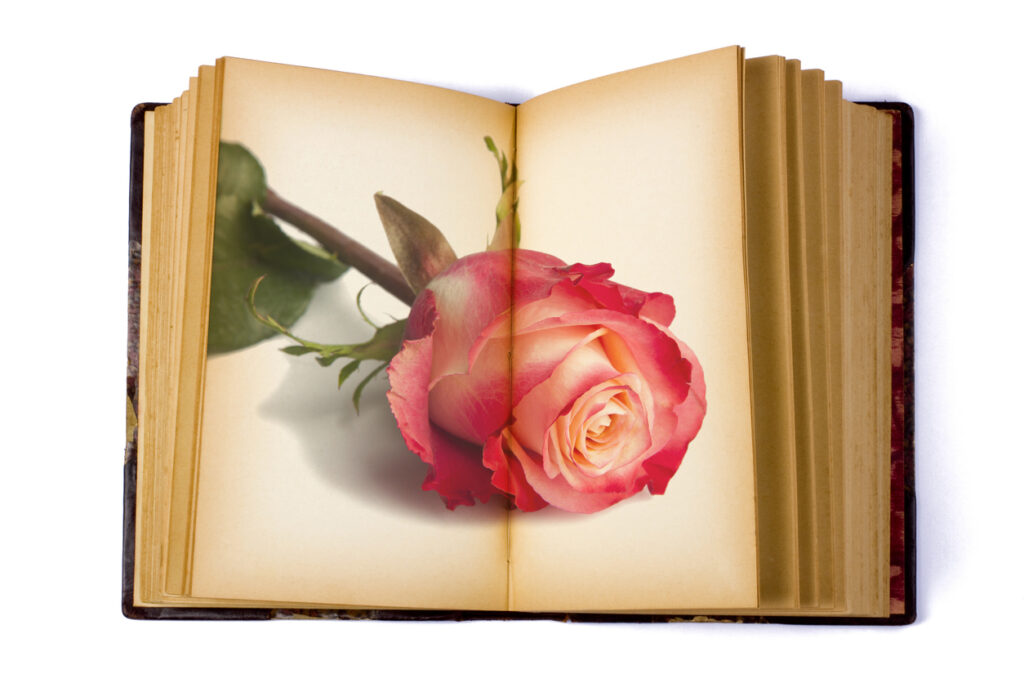 Open Book with an image of a Rose