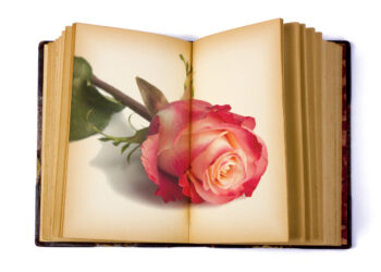 Open Book with an image of a Rose