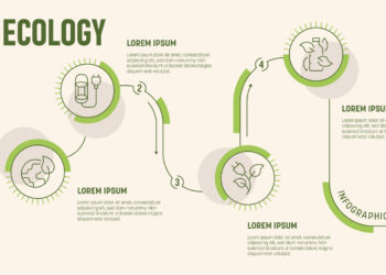 Template for an ecology infographic