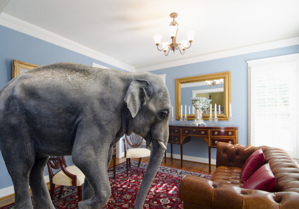 A big elephant inside a living room