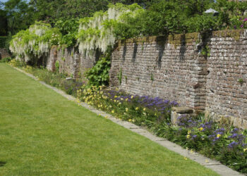 image of a wall in a garden