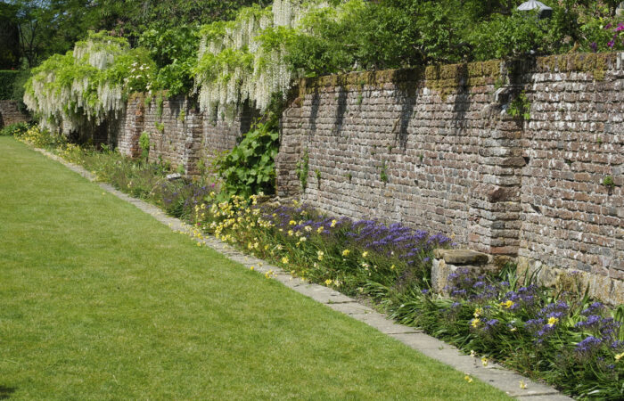 image of a wall in a garden