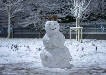 Snowman in snowy field