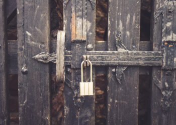 Decorative image: A beautifully crafted wooden gate stands tall, adorned with elegant carvings. A shiny padlock keeps it secure, hinting at mysteries within the hidden garden beyond.