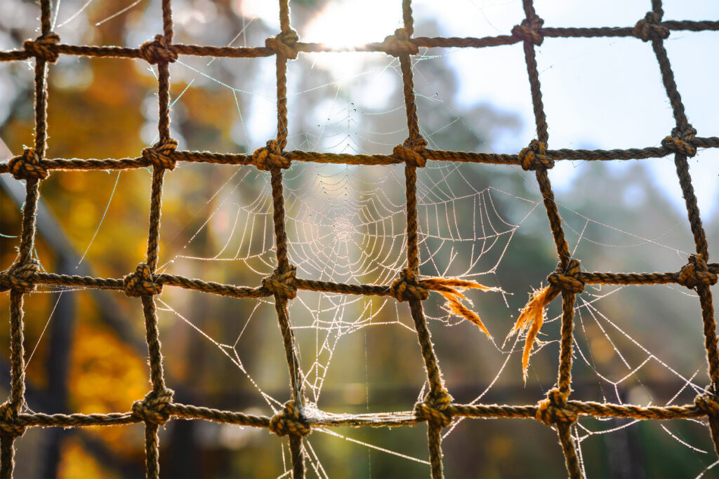 A delicate spiderweb, with dewdrops, on a rope net, in the morning sunlight.