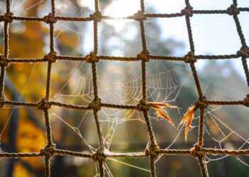A delicate spiderweb, with dewdrops, on a rope net, in the morning sunlight.