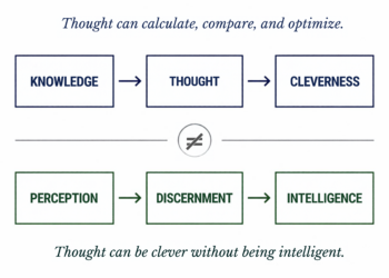 Diagram contrasting thought and intelligence. Top row, left to right: Knowledge, an arrow to Thought, an arrow to Cleverness, captioned 'Thought can calculate, compare, and optimize.' A not-equal sign separates the two rows. Bottom row, left to right: Perception, an arrow to Discernment, an arrow to Intelligence, captioned 'Thought can be clever without being intelligent.