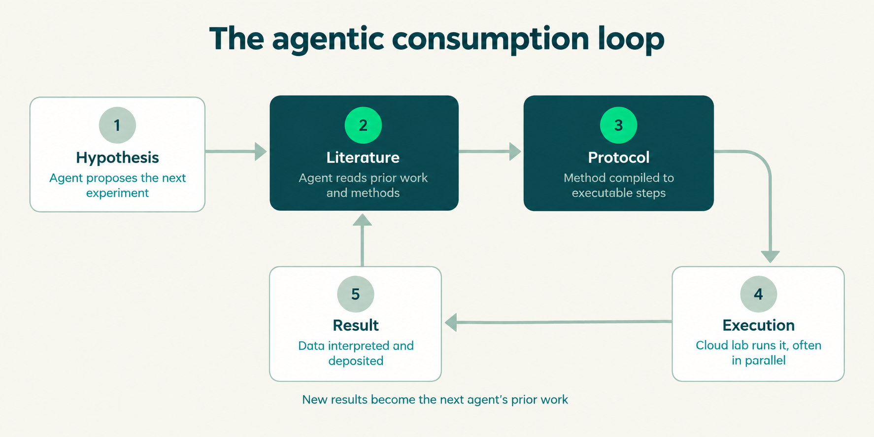 Flow chart depicting the agentic consumption loop, flowing across 5 steps: 1. Hypothesis (agent proposes the next experiment), 2. Literature (agent reads prior work and materials), 3. Protocol (method compiled into executable steps), 4. Execution (cloud lab runs it, often in parallel, and 5. Result (data interpreted and deposited -- at which point the new results become the next agent's prior work.